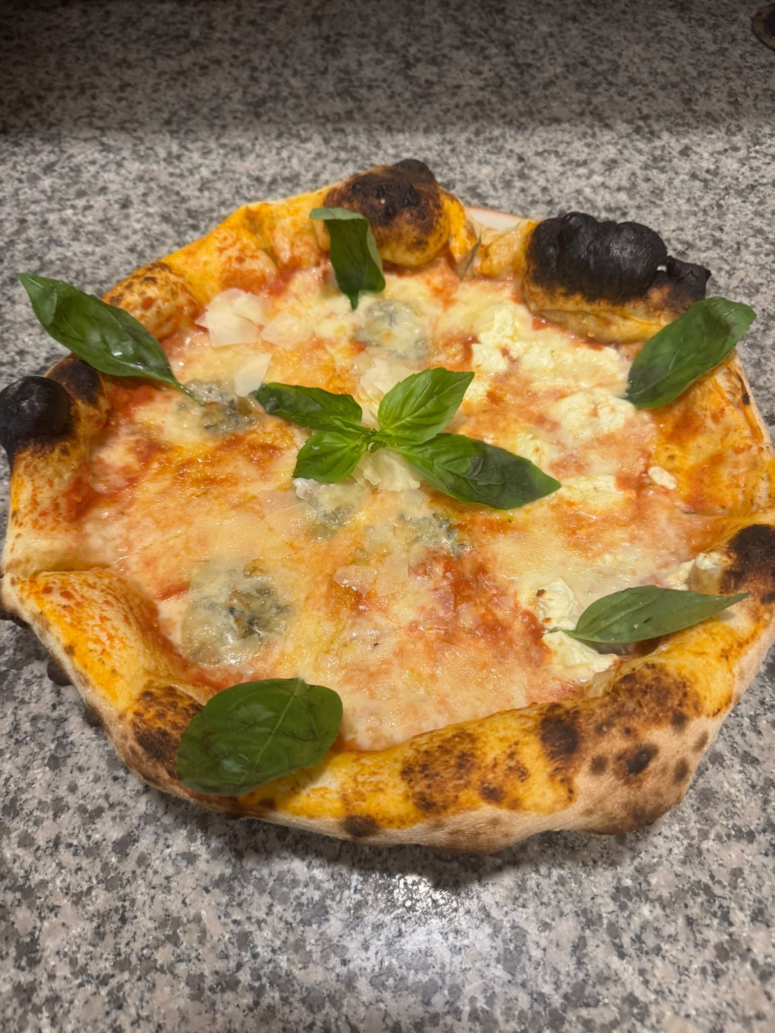 Steinofenpizza mit vier Käsesorten und frischem Basilikum